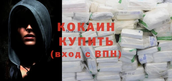 соль ск Дмитров