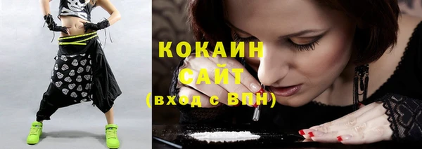 соль ск Дмитров