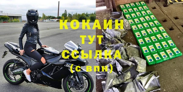 соль ск Дмитров