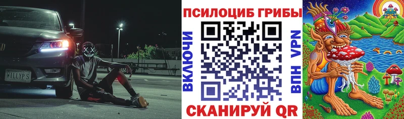 Галлюциногенные грибы ЛСД Гусь-Хрустальный